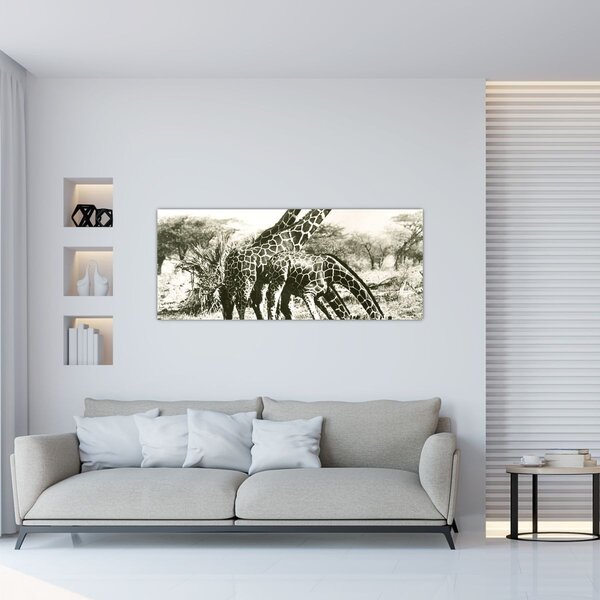 Slika - Žirafe, berba (120x50 cm)