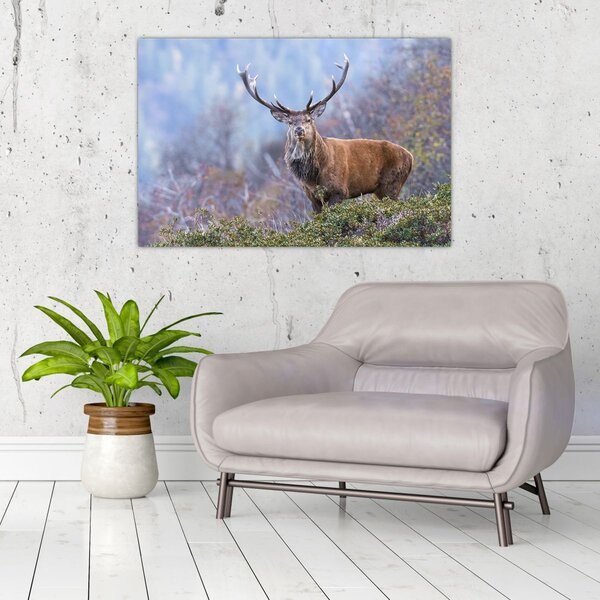 Slika - Jelen u krajoliku (90x60 cm)