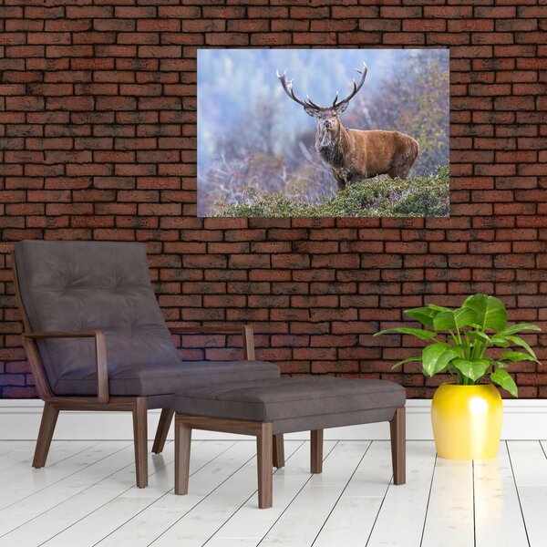 Slika - Jelen u krajoliku (90x60 cm)