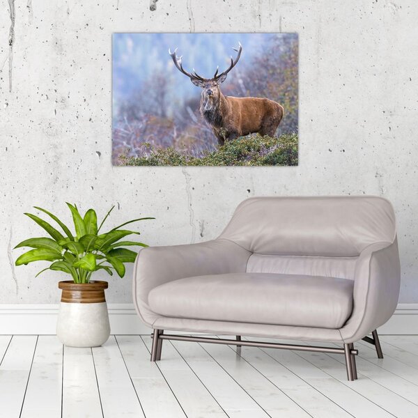 Slika - Jelen u krajoliku (70x50 cm)