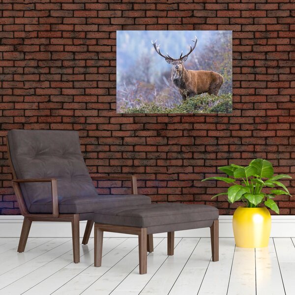 Slika - Jelen u krajoliku (70x50 cm)