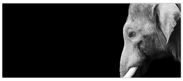 Slika - Slon (120x50 cm)