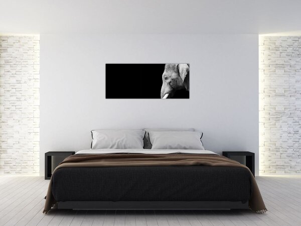 Slika - Slon (120x50 cm)