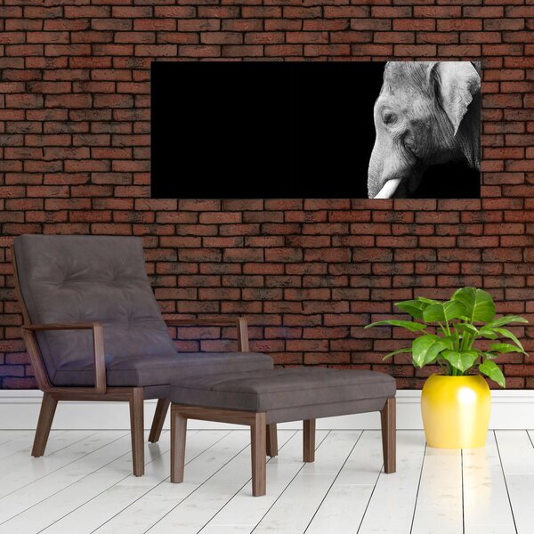 Slika - Slon (120x50 cm)
