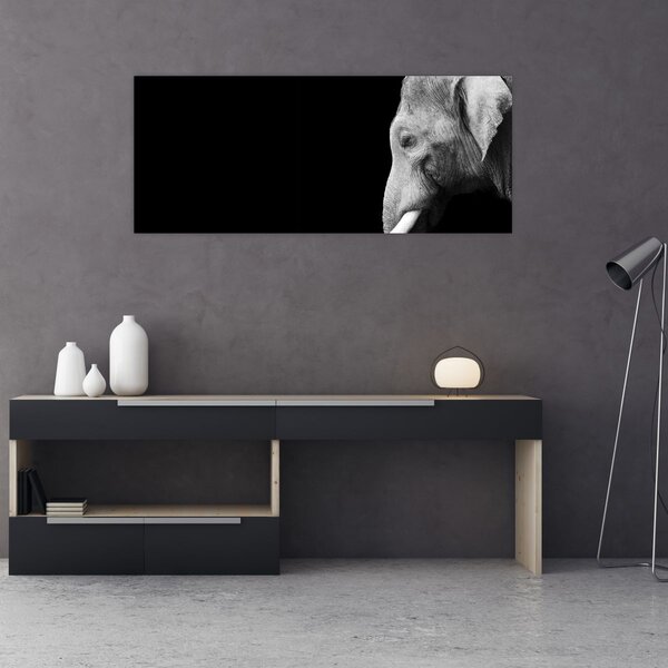 Slika - Slon (120x50 cm)