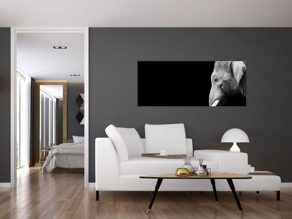 Slika - Slon (120x50 cm)