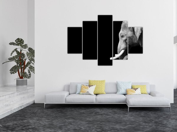 Slika - Slon (150x105 cm)