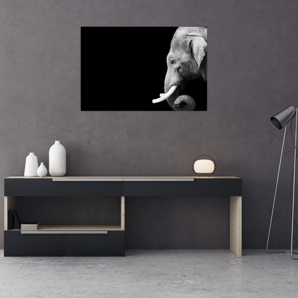 Slika - Slon (90x60 cm)