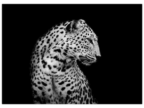 Slika - Leopard (70x50 cm)