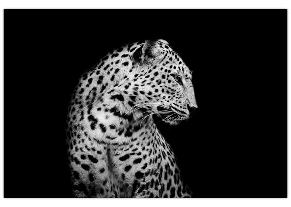 Slika - Leopard (90x60 cm)