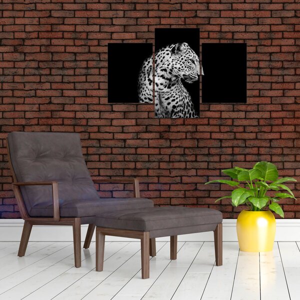 Slika - Leopard (90x60 cm)