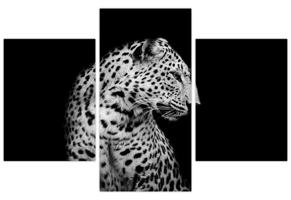 Slika - Leopard (90x60 cm)