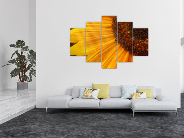 Slika - Suncokreti (150x105 cm)