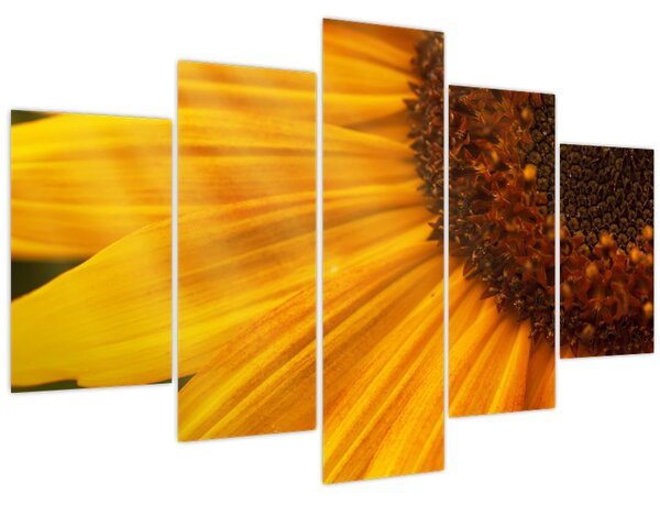 Slika - Suncokreti (150x105 cm)
