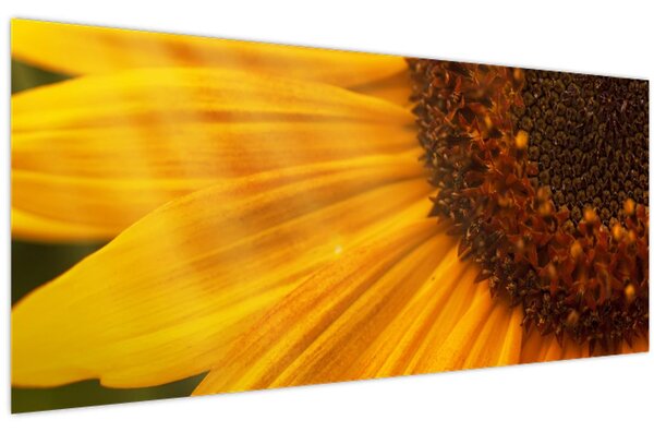 Slika - Suncokreti (120x50 cm)