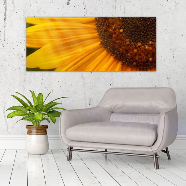 Slika - Suncokreti (120x50 cm)