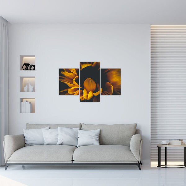 Slika - Suncokreti u crnoj pozadini (90x60 cm)