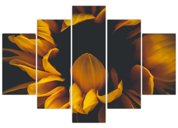 Slika - Suncokreti u crnoj pozadini (150x105 cm)