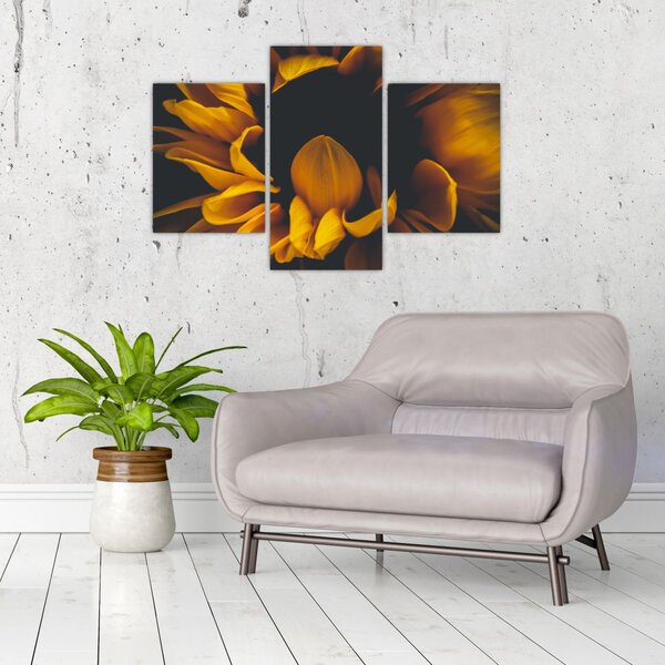 Slika - Suncokreti u crnoj pozadini (90x60 cm)