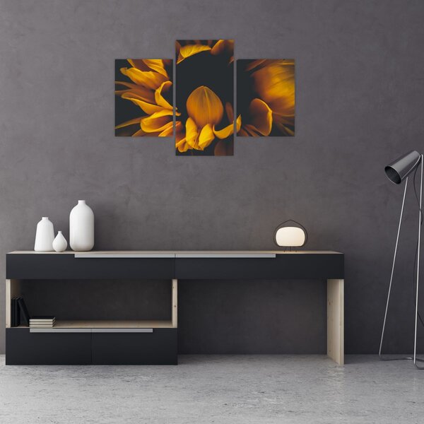 Slika - Suncokreti u crnoj pozadini (90x60 cm)