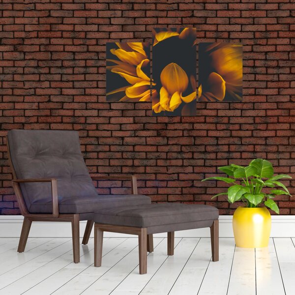 Slika - Suncokreti u crnoj pozadini (90x60 cm)