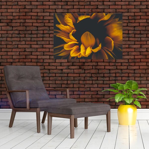 Slika - Suncokreti u crnoj pozadini (90x60 cm)