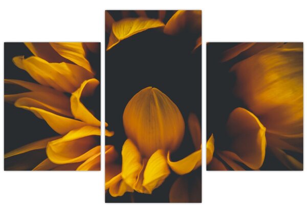 Slika - Suncokreti u crnoj pozadini (90x60 cm)