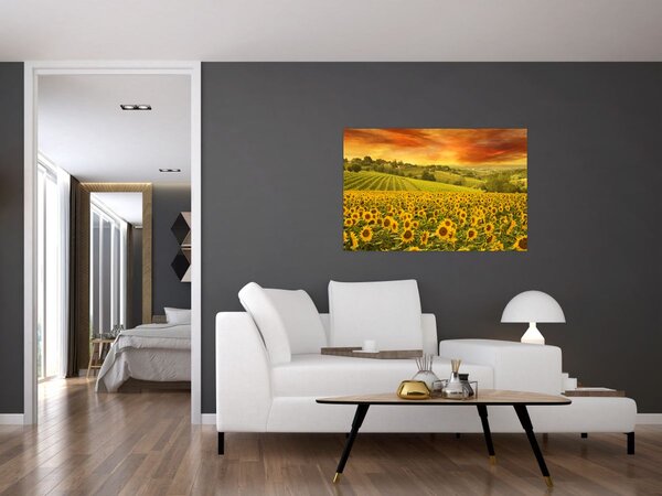 Slika - Polje suncokreta (90x60 cm)