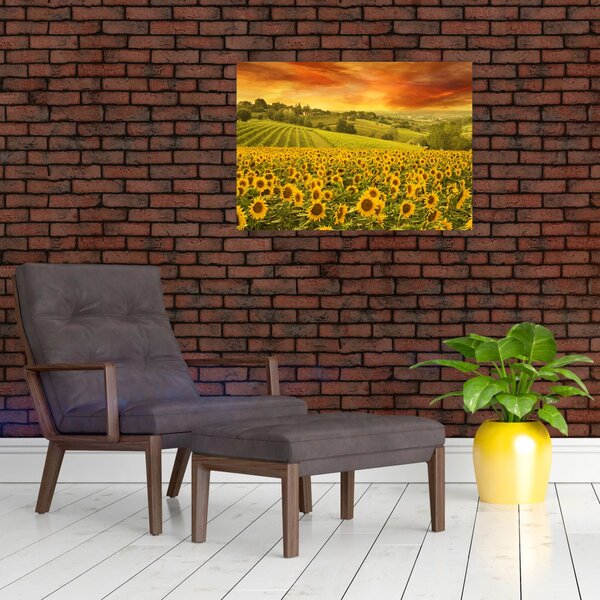 Slika - Polje suncokreta (70x50 cm)