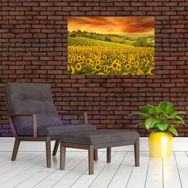 Slika - Polje suncokreta (90x60 cm)