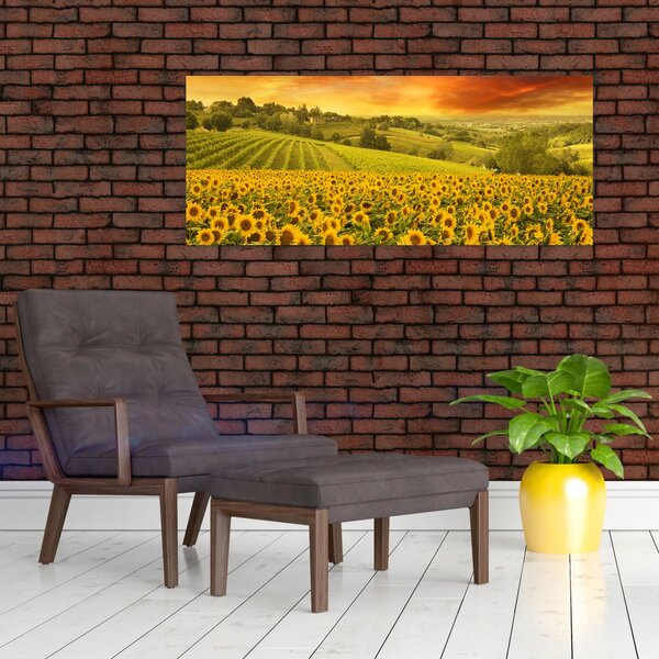 Slika - Polje suncokreta (120x50 cm)