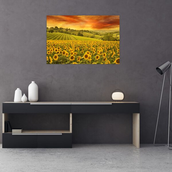 Slika - Polje suncokreta (90x60 cm)