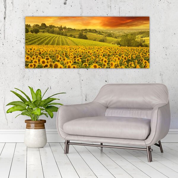 Slika - Polje suncokreta (120x50 cm)