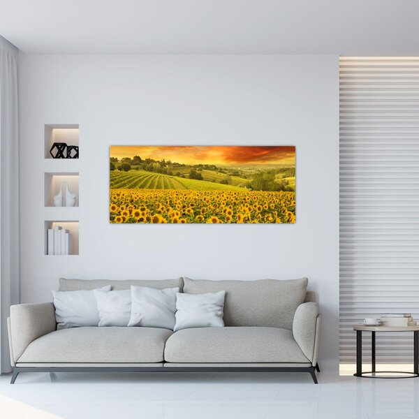 Slika - Polje suncokreta (120x50 cm)