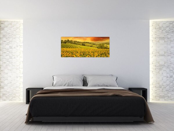 Slika - Polje suncokreta (120x50 cm)