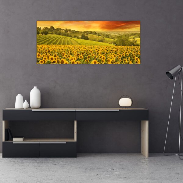 Slika - Polje suncokreta (120x50 cm)