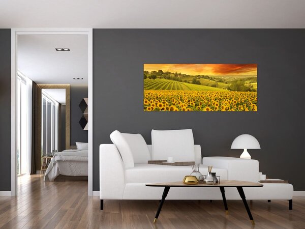 Slika - Polje suncokreta (120x50 cm)