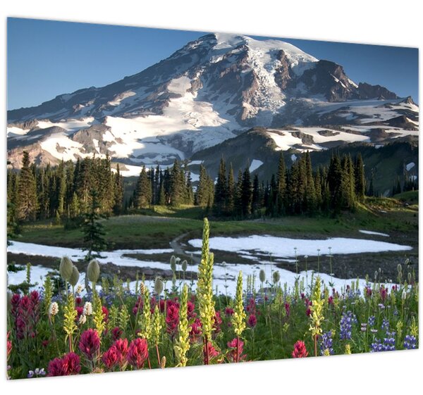 Slika - Mount Rainier (70x50 cm)