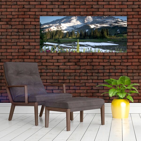 Slika - Mount Rainier (120x50 cm)