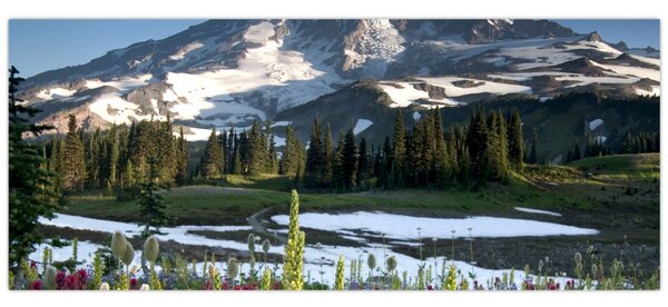 Slika - Mount Rainier (120x50 cm)