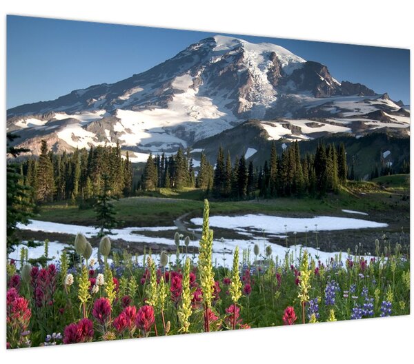 Slika - Mount Rainier (90x60 cm)