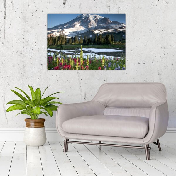 Slika - Mount Rainier (70x50 cm)