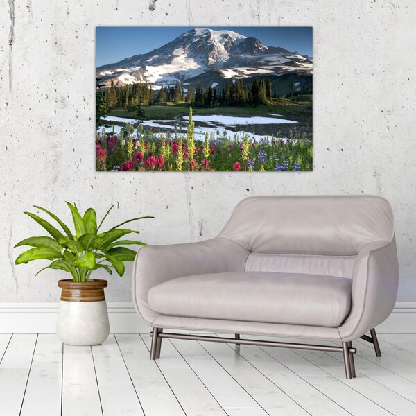 Slika - Mount Rainier (90x60 cm)