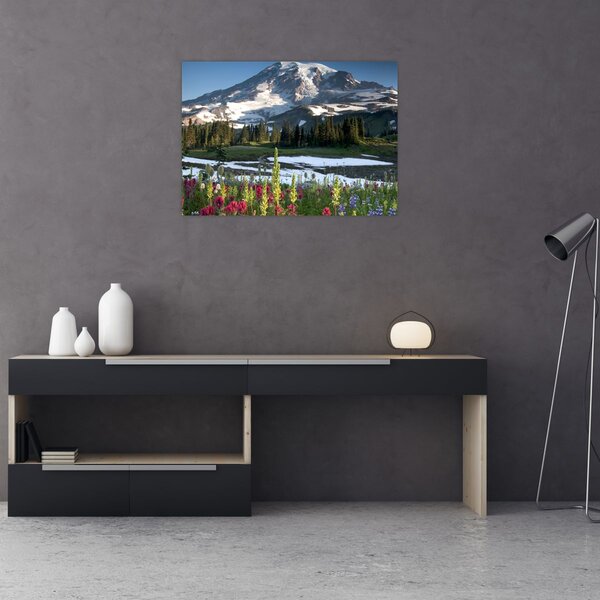 Slika - Mount Rainier (70x50 cm)