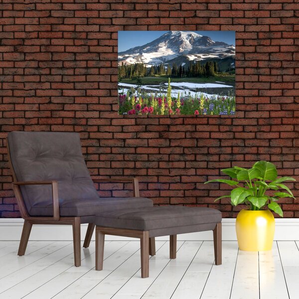 Slika - Mount Rainier (70x50 cm)