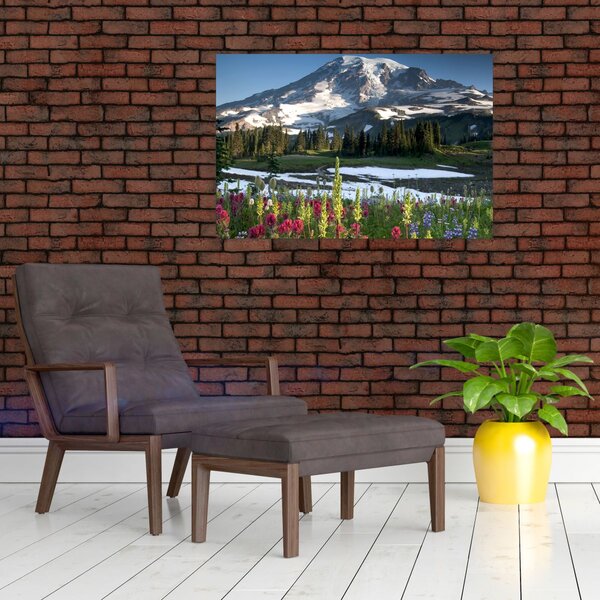 Slika - Mount Rainier (90x60 cm)