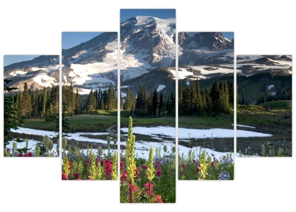 Slika - Mount Rainier (150x105 cm)
