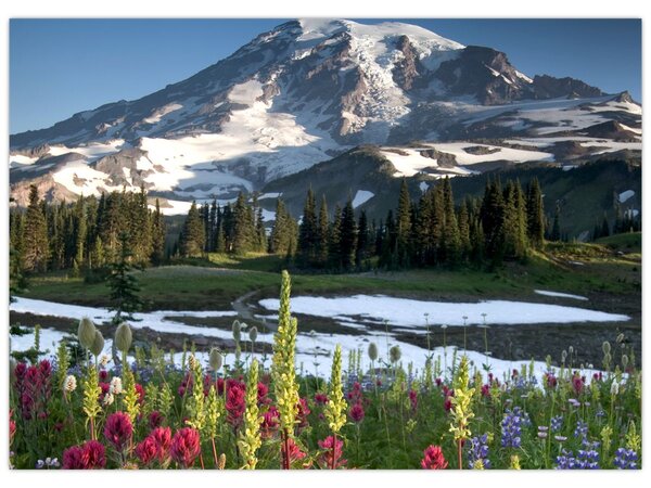 Slika - Mount Rainier (70x50 cm)