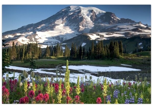 Slika - Mount Rainier (90x60 cm)