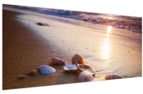 Slika - Školjke (120x50 cm)